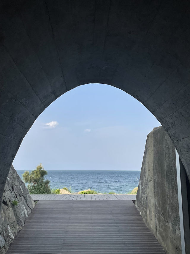 🌊 묵호에서 망상까지 바다 따라 걷는 동해의 하루