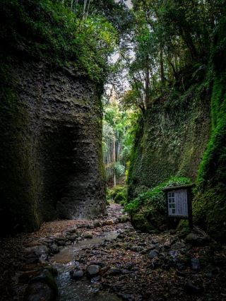 高知