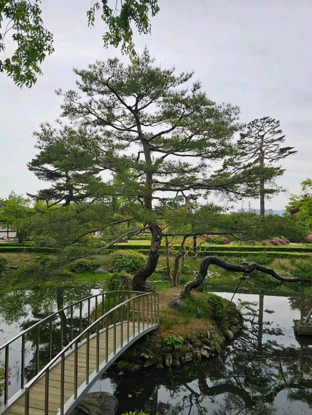 A Chill Day at Ojukheon