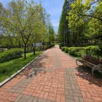 Climbing Wonjeoksan Peak