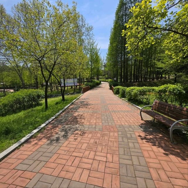 Climbing Wonjeoksan Peak