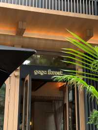 Gaga Forest Chengdu