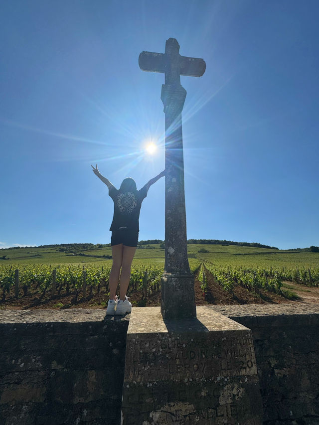 Burgundy for Wine Lovers: A Journey Through France’s Most Precious Vineyards