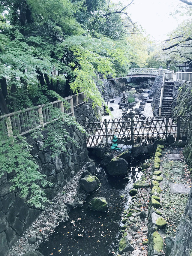 【東京都北区赤羽の自然と清い滝・文化の融合したローカル遊歩道】