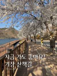 지금 가도 좋은, 기장 산책로 데이트 🚶🏻‍♀️🚶