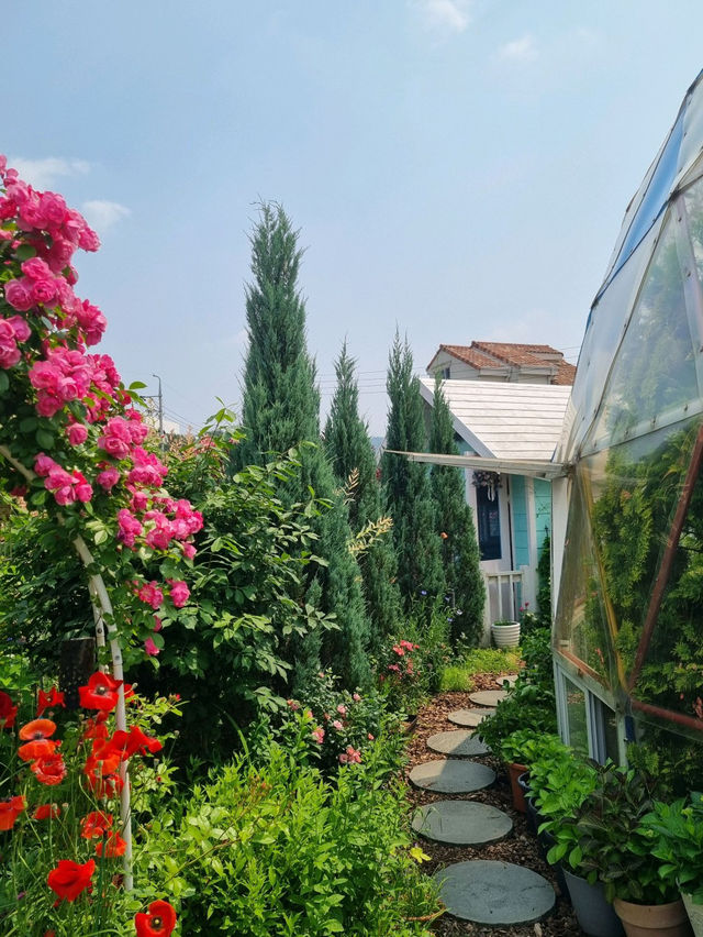 😆🌷충남 아산 여행 코스 카페플라워돔 장미 포토존