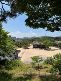 고궁과 도시의 조화, 창경궁 뷰포인트