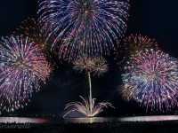 【三重県】5000発が彩る花火の華「津花火大会」