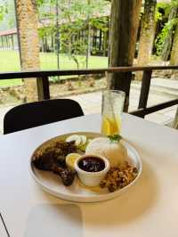Refuel and Reset — Pineyard Café Stopover