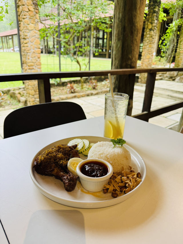 Refuel and Reset — Pineyard Café Stopover