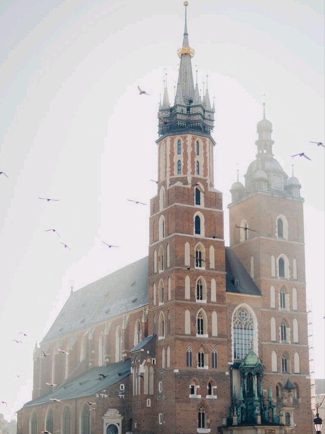 ✨🇵🇱 Krakow Calling: Budget Bliss in Poland! 🇵🇱✨