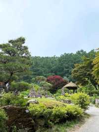 Wandering Around Achimgogyo Arboretum