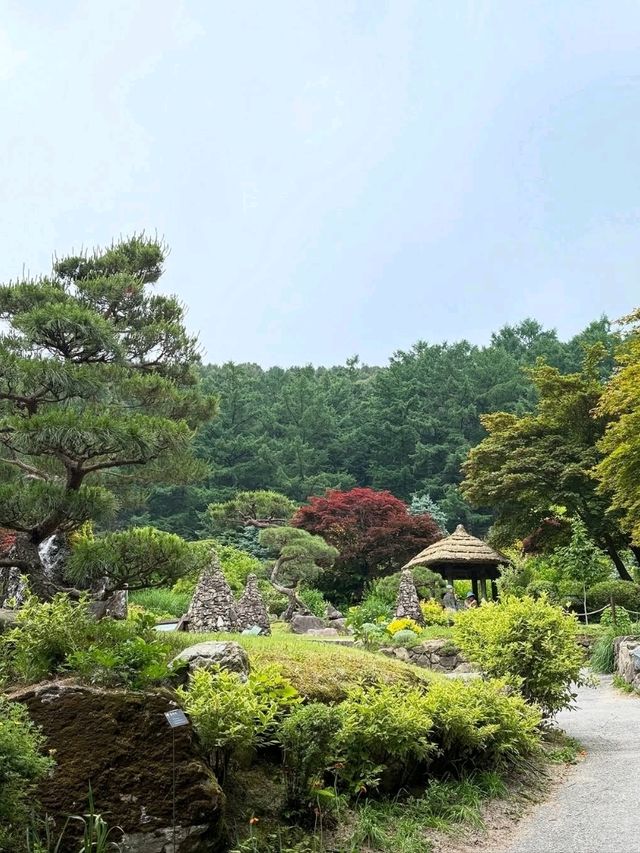 Wandering Around Achimgogyo Arboretum