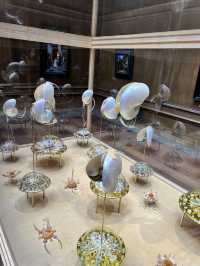 Exploring the National Gallery of Art: A Day of Art, Architecture, and Awe