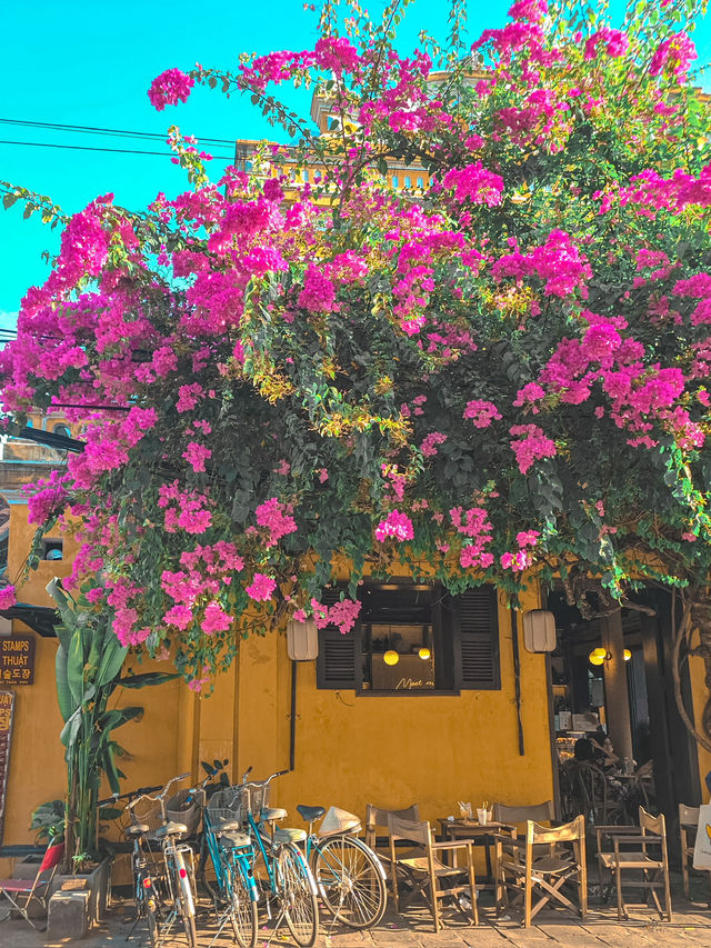 A Day in Hoi An: Bamboo Boats & Lantern Glow