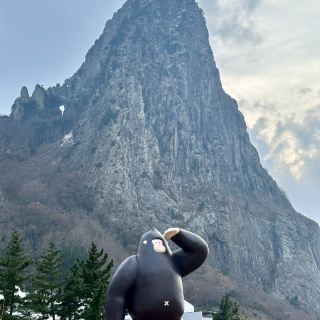 Winter in Ulleungdo: Discovering the Mystique and New Charms Amidst Snowy Landscapes!