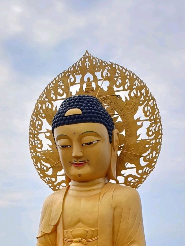 조용한 산사에서의 사색 