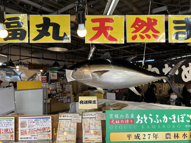 🍣 Fresh Finds and Local Flavor at Matsushima Fish Market
