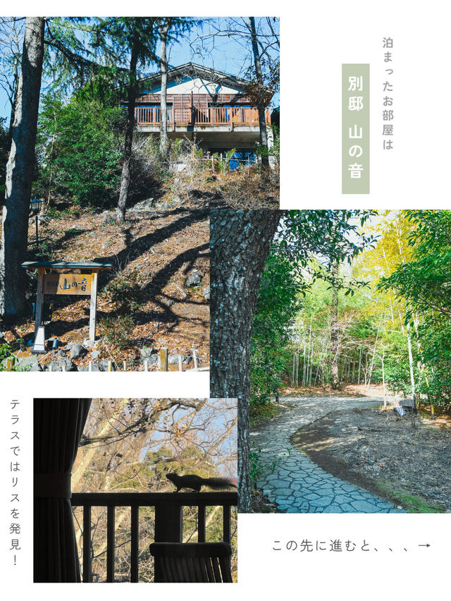 【静岡】＼まるで日本の原風景／自然に包まれる温泉宿🌿
