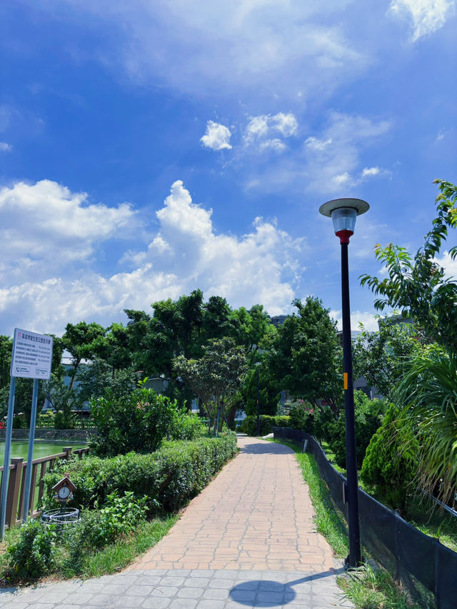 🌿 桃園八德｜高城埤塘生態公園：水鳥會跑來打招呼的靜謐小天地 🐦✨