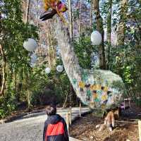 Enchanting Moments at Queenstown Kiwi Park