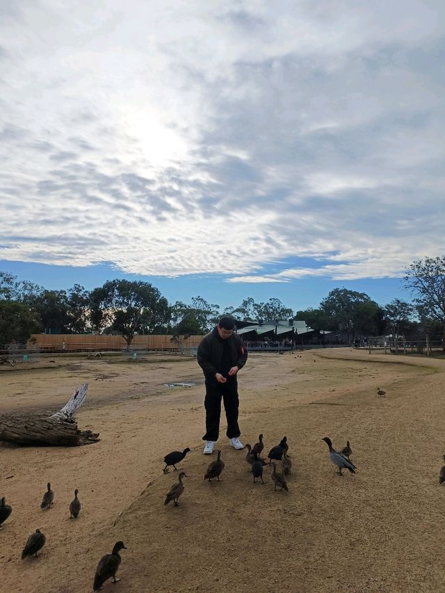 一個放鬆且老少咸宜的旅遊景點