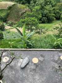 lembahmanah_kopi