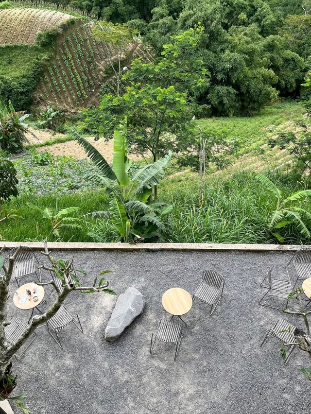 lembahmanah_kopi