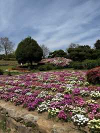 【福岡の隠れ楽園🌺】能古島でのんびり島時間を満喫しよう