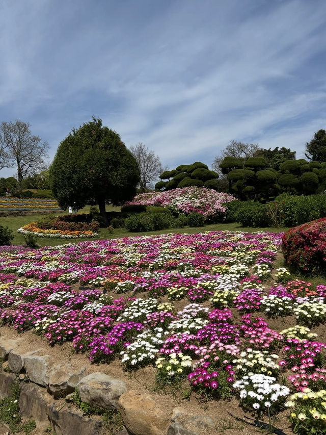 【福岡の隠れ楽園🌺】能古島でのんびり島時間を満喫しよう