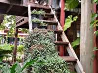 🪵 บ้านไม้ที่อบอวลด้วยกลิ่นอายธรรมชาติ 🍃 