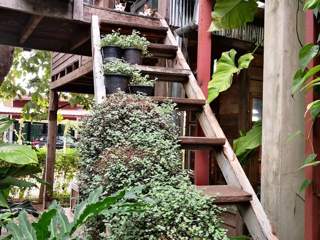 🪵 บ้านไม้ที่อบอวลด้วยกลิ่นอายธรรมชาติ 🍃 