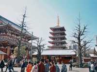 Magic, Blossoms & Organized Chaos — Tokyo’s Unforgettable Energy