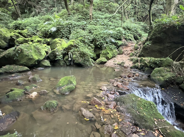 草山觀瀑吊橋。猴崁圳古道