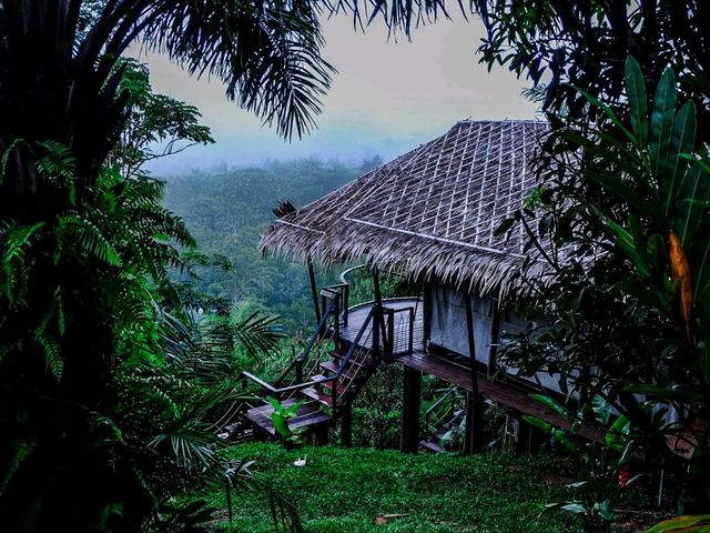 – Khao Sok Boutique Camp 🌿