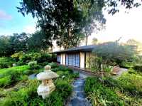 The Zen experience at the Teahouse, Japanese Gardens