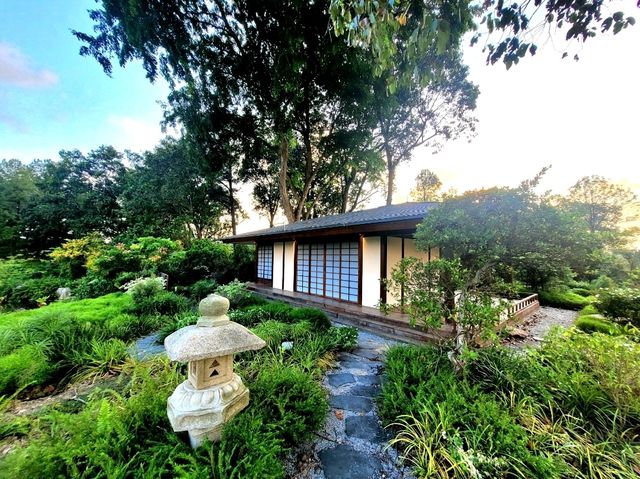 The Zen experience at the Teahouse, Japanese Gardens