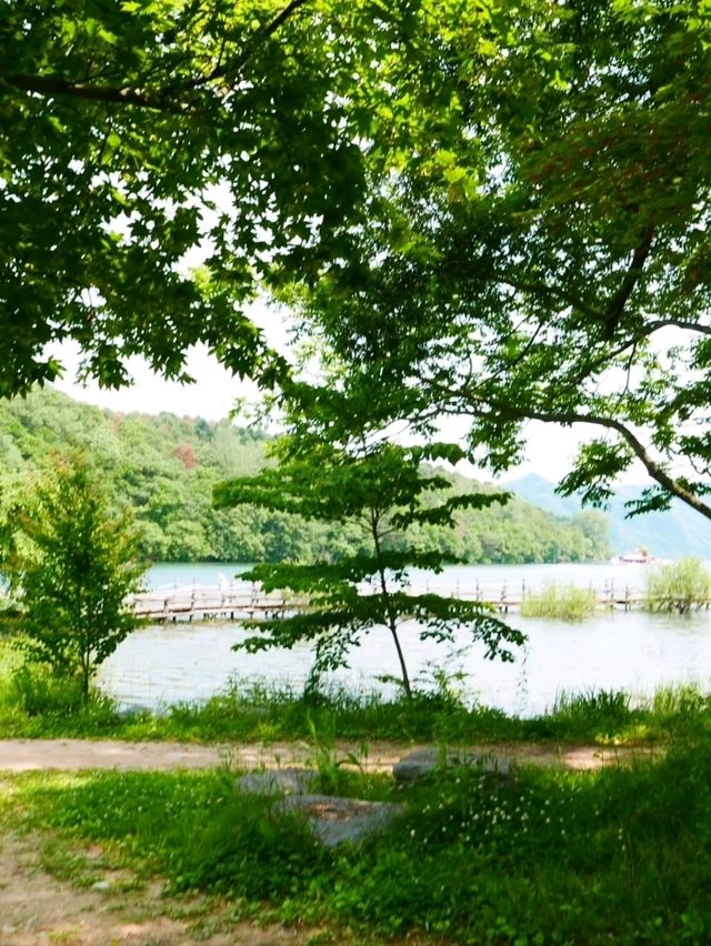 Chill Walks & Lake Vibes