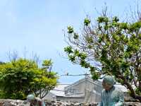 眷村、老歌與午後的風：篤行十村散步日記