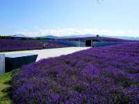 Buddha Hill in Hokkaido