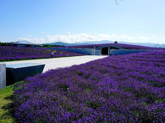 Buddha Hill in Hokkaido