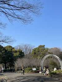 🇯🇵 Yoyogi Park 