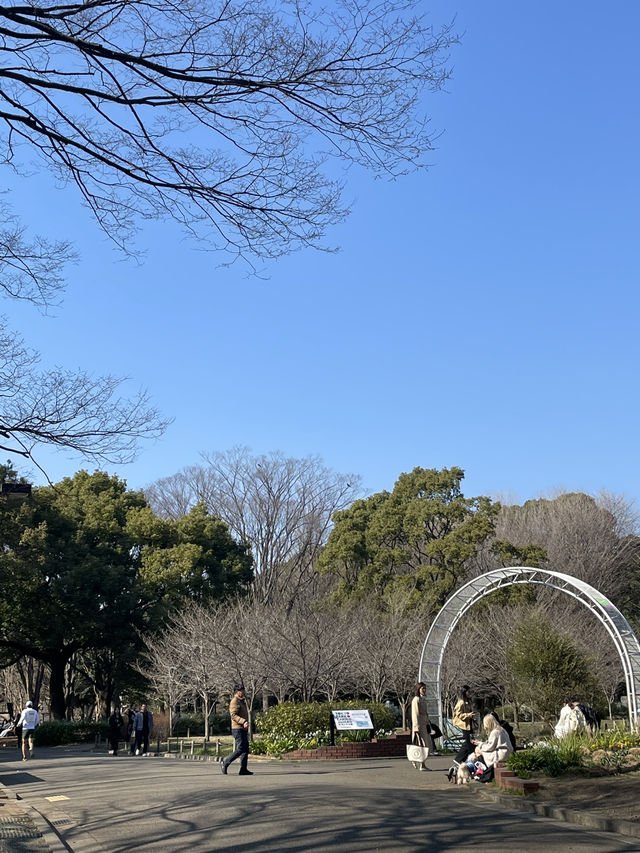 🇯🇵 Yoyogi Park 