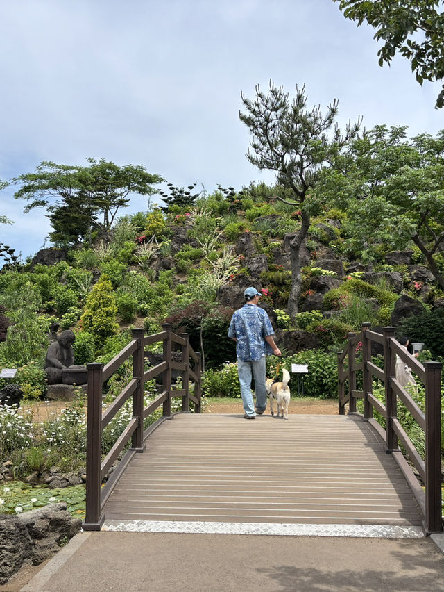 제주 여름 가볼만한곳 송당 동화마을