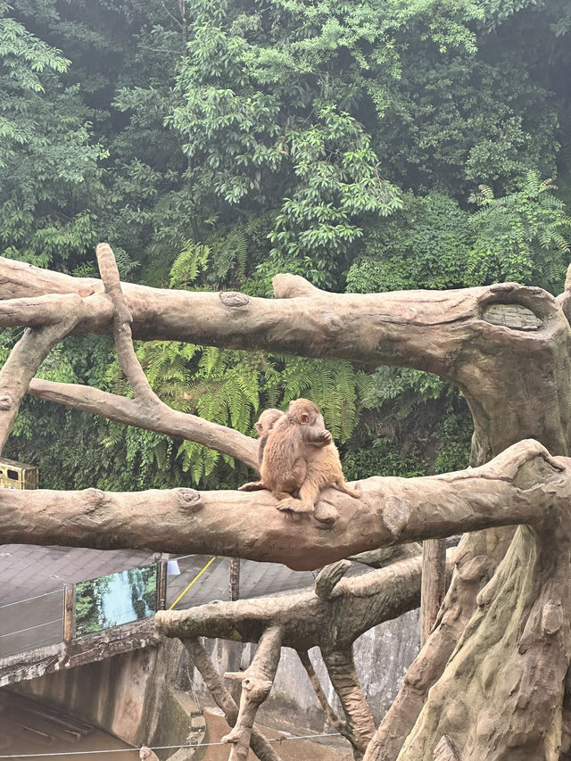 A Perfect Blend of Nature and Wildlife