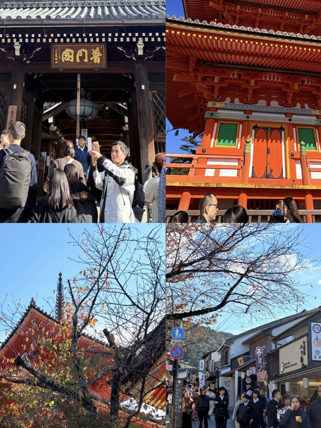 ไปแต่งตัวเป็นสาวญี่ปุ่นกันเถอะ | Kyoto :)