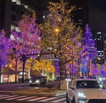 去年冬天大阪御堂筋的燈飾