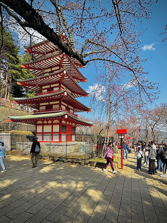 Day Trip Fuji Japan