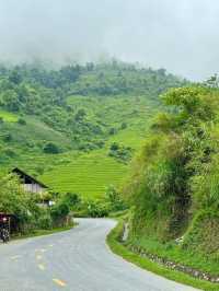 Sapa