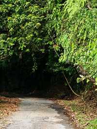 ⛰️ Bukit Kledang, Perak – Choose Your Trail, Choose Your Challenge!